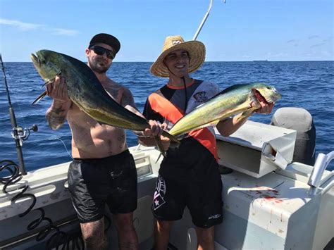 sealord fishing charters|Sealord Charters Sydney (@sealordcharters) .